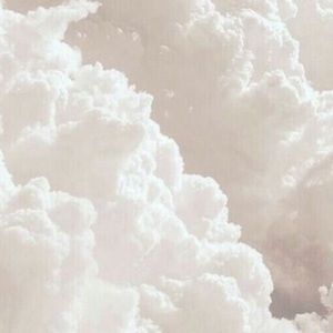 Meet your Posher, Maggie